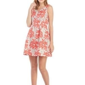 Donna Ricco, Women's Stretch Jacquard Fit and Flare Dress, Size 12